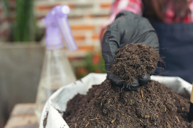 Abonos y fertilización de suelos