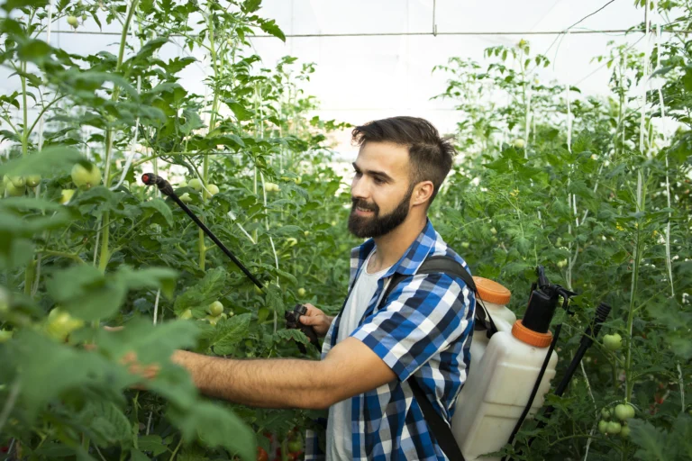 Control de plagas y enfermedades en jardines