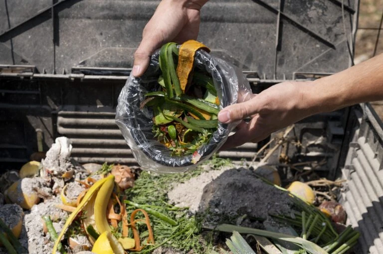 Manejo de residuos vegetales y compostaje