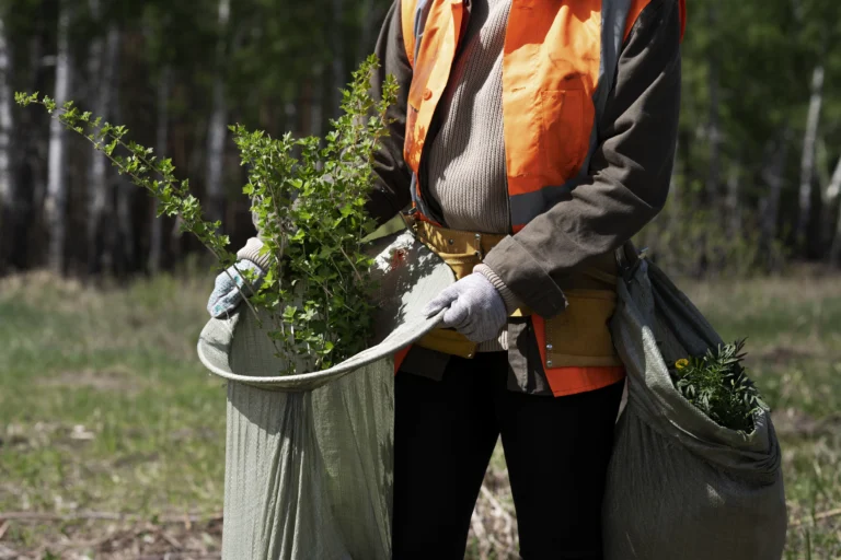 Jardinería y mantenimiento de zonas verdes