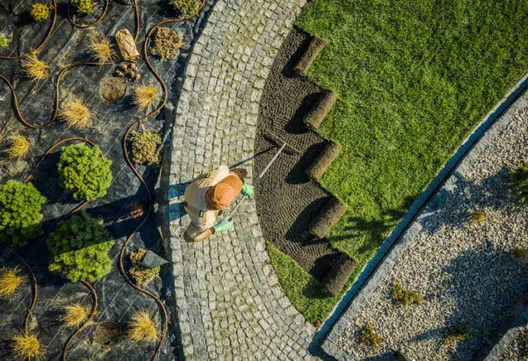 Paisajismo y diseño de jardines