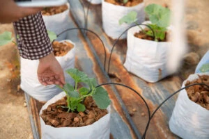 Sistemas de riego para jardines y zonas verdes