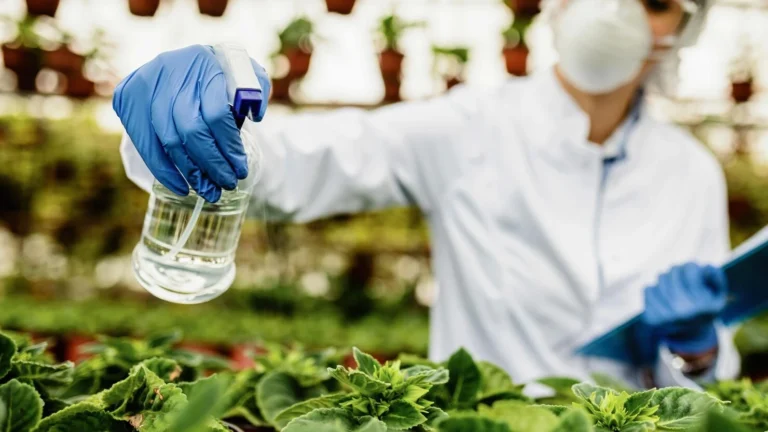 Control fitosanitario agrícola