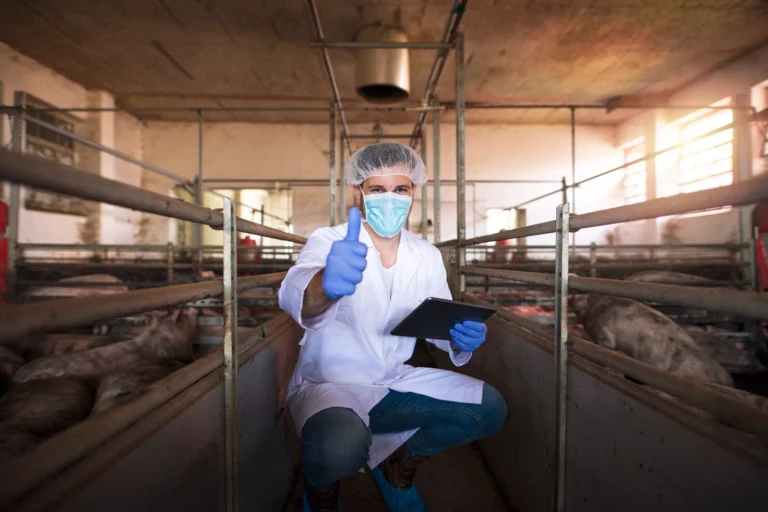 Tratamiento sanitario para establos y galpones